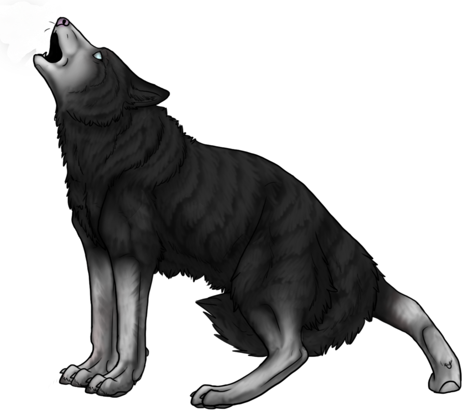 Black Wolf Howling Photo - Illustration Clipart - Large Size Png Image ...