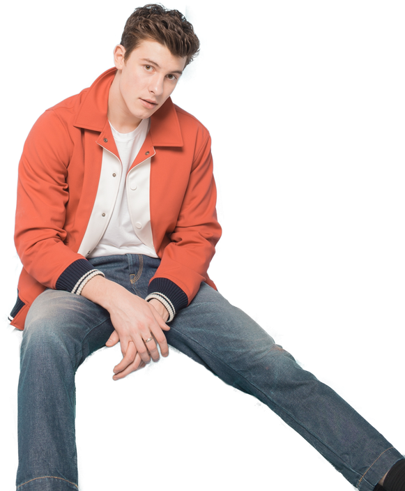 Shawn Mendes Png - Transparent Shawn Mendes Png Clipart - Large Size ...