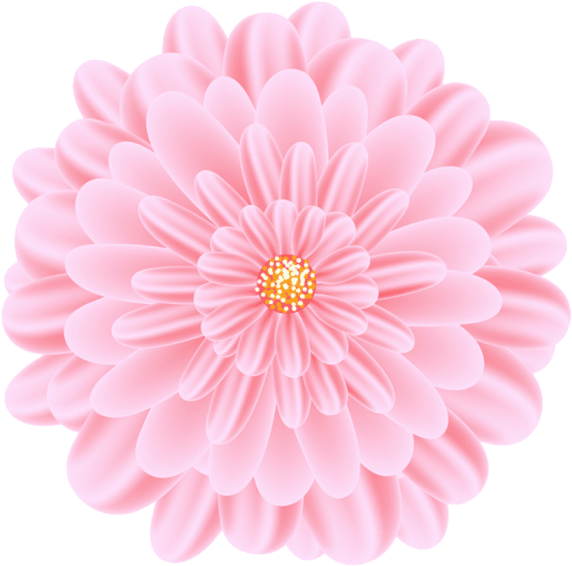 Free Png Flower Png Images Transparent - Common Zinnia Clipart - Large ...