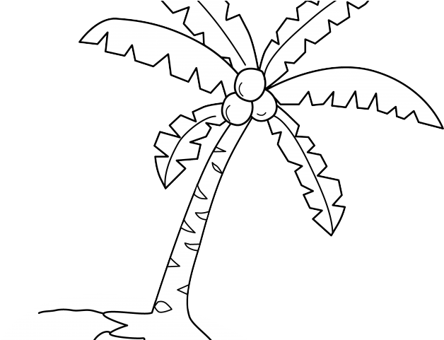 Download Plant Clipart Coconut Tree - Clip Art - Png Download Png ...