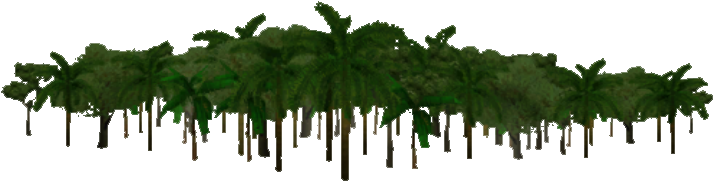 Download Jungle Transparent Background - Jungle Trees Transparent