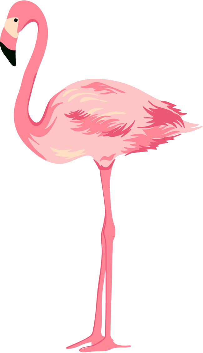 Flamingo Png Clipart Large Size Png Image Pikpng