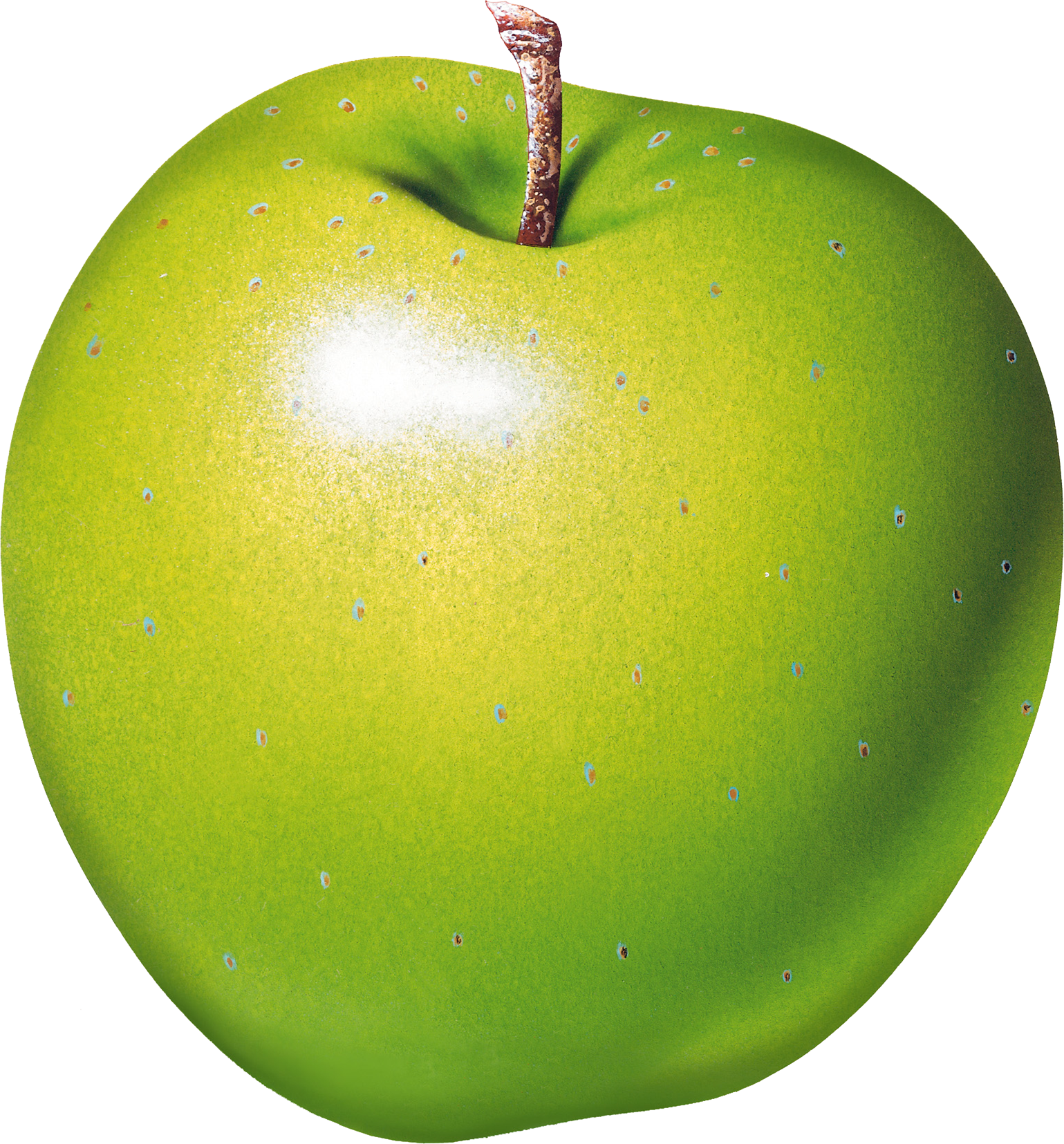 Green Apple's Png Image - Яблоко Пнг Clipart (1539x1655), Png Download