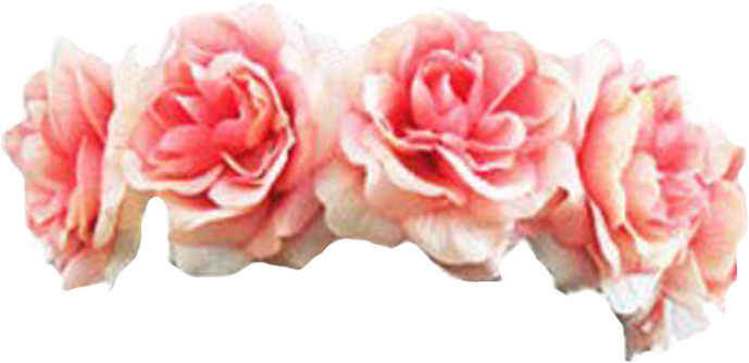 Download Black Flower Crown Transpa Flowers Healthy - Pink Flower Crown