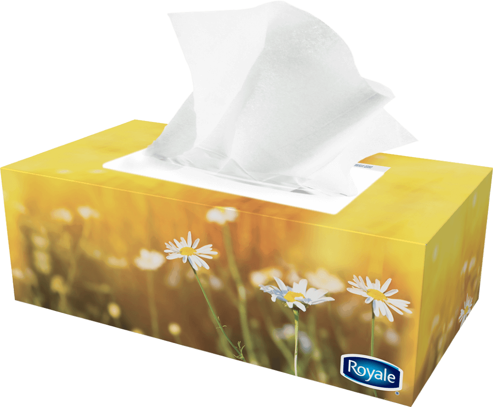 Royale Tissue Box Png Download Tissue 2 Ply Packaging Clipart Large Size Png Image Pikpng