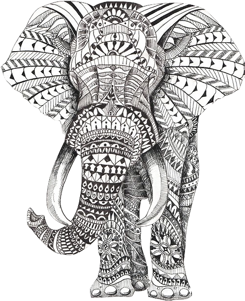 500 X 673 31 - Mandala Éléphant Clipart - Large Size Png Image - PikPng