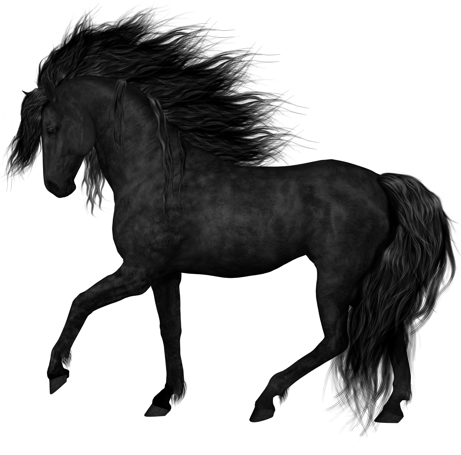 Black Horse Png Clipart Picture - Black Horse Transparent Background ...