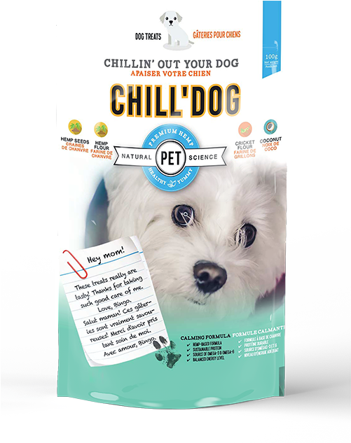 Chill'dog - Companion Dog Clipart - Large Size Png Image - PikPng