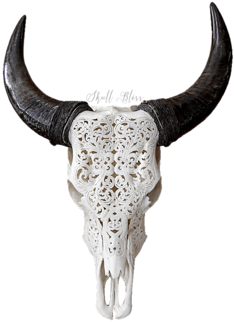 Carved Cow Skull Xl Horns Cow Skull Transparent Clipart Large Size Png Image PikPng