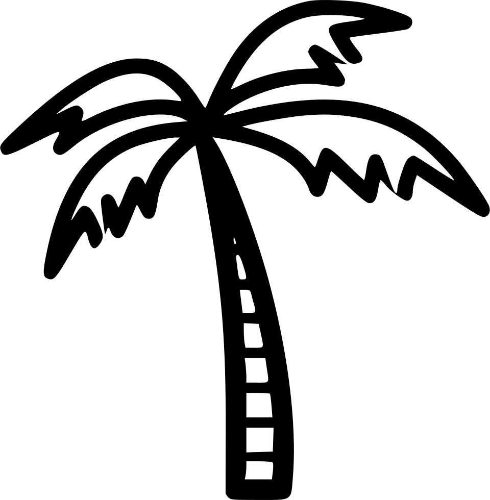 Coconut Tree Comments - Coconut Clipart - Large Size Png Image - PikPng