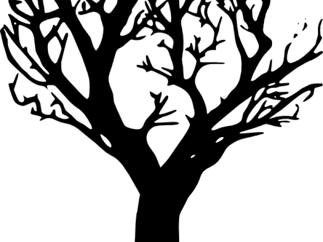 Download Dead Tree Clipart Tree Outline Black Tree Silhouette Png Transparent Png Png Download Pikpng