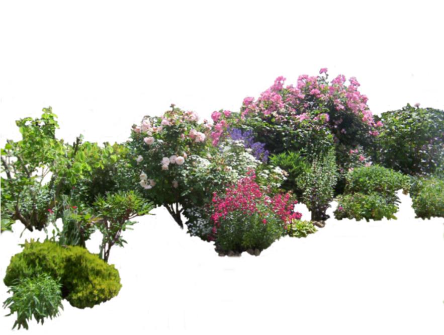 Download #flowers #bush #bushes #garden @ladymariacristina - Garden