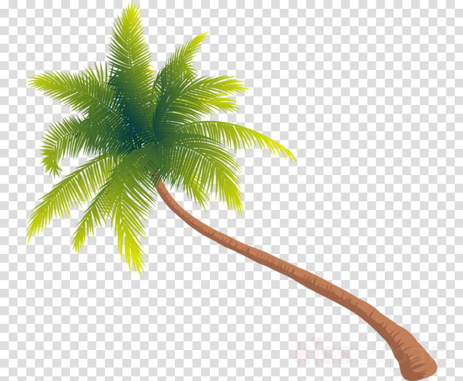Download Download Tree Png Gif Clipart Palm Trees Clip Art Tree