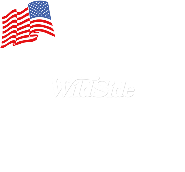 Golf Cart With Us Flag In Back - Illustration Clipart - Large Size Png ...