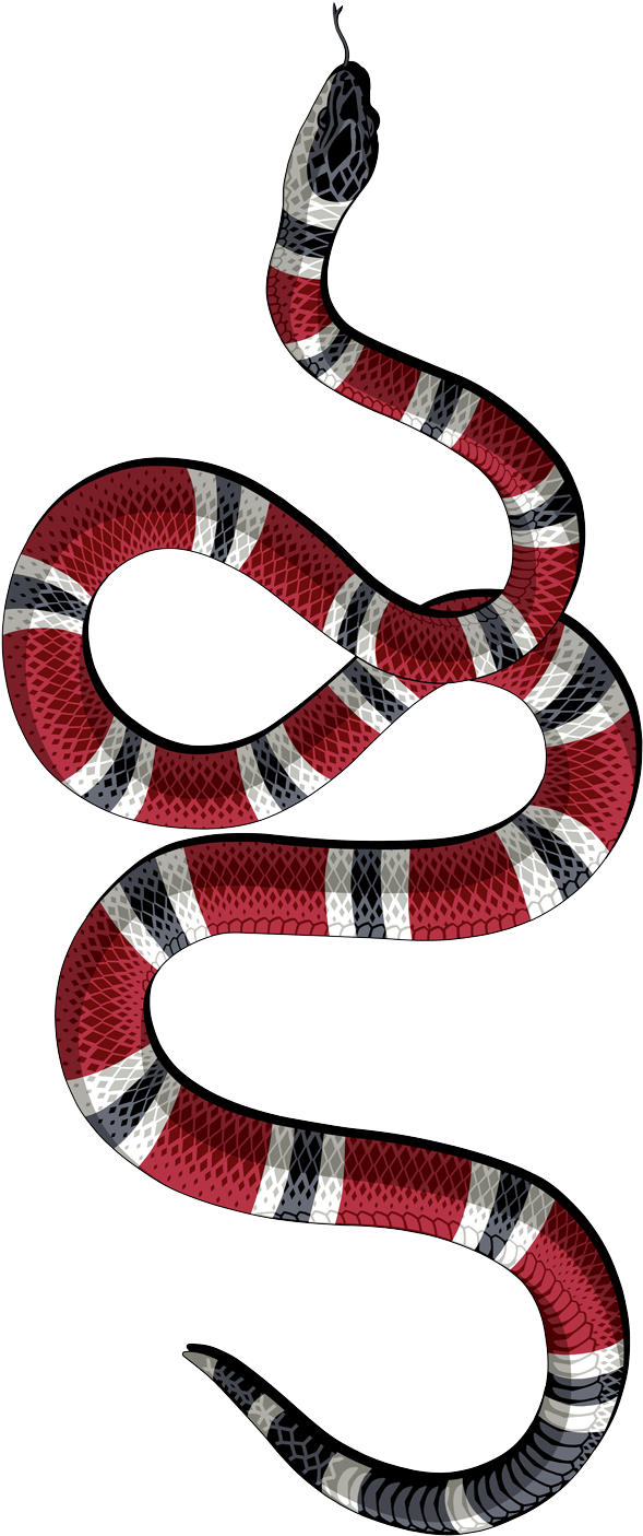 Download Decal Kingsnakes Gucci Sticker Serpent Png Free Photo - Gucci