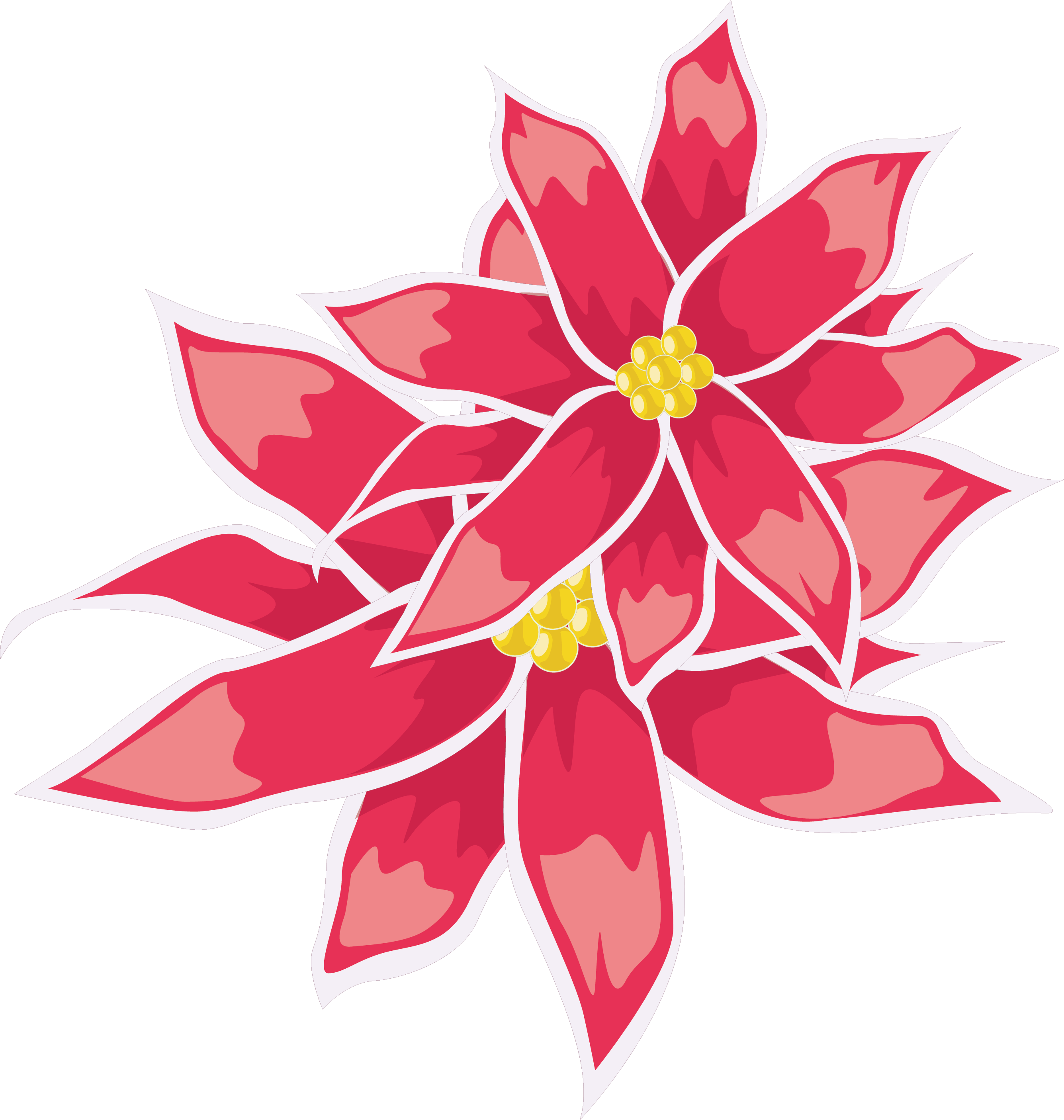 Clip Library Download Floral Design Leaf Transprent - Poinsettia - Png Download (2672x2813), Png Download