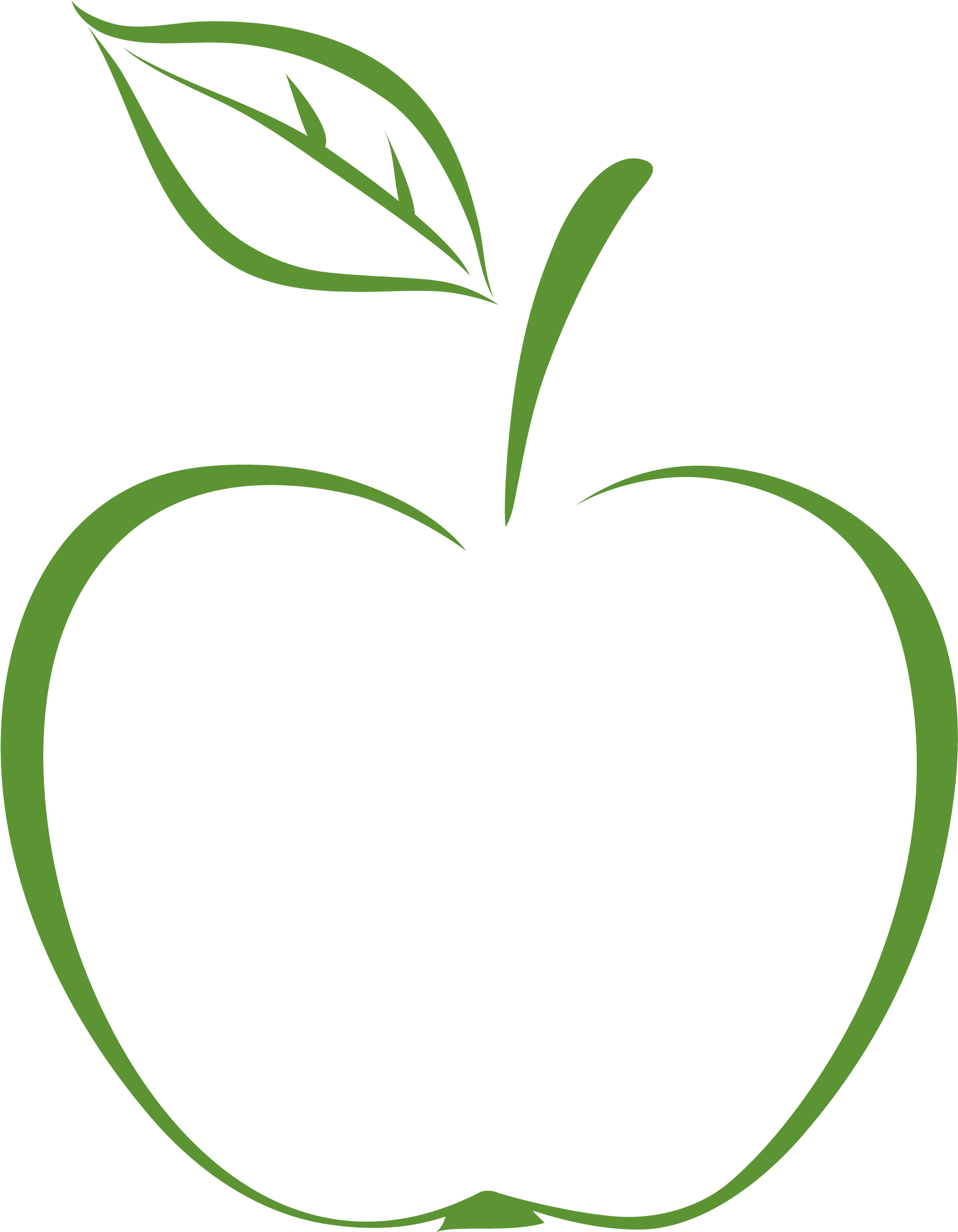 Apple Stem And Leaf Clipart Png Download Large Size Png Image PikPng