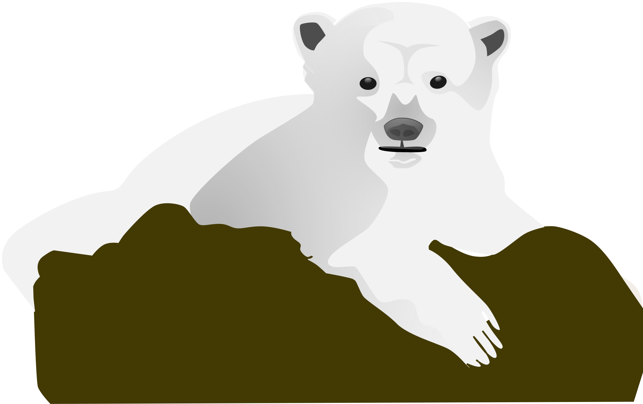 Download Knut The Polar Bear By Aitor Avila - Illustration Clipart Png ...