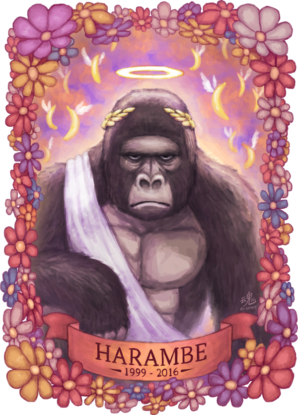 Harambe Png Harambe Fanart Clipart Large Size Png Image Pikpng 7700