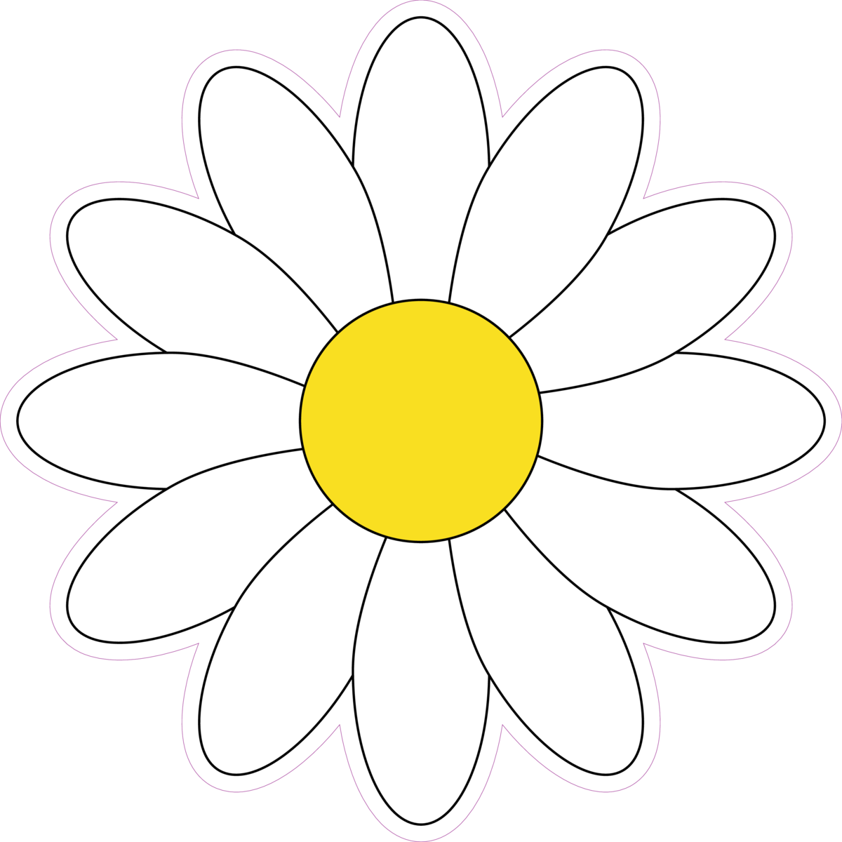 Simple White Daisy Flower Vector Illustration Sticker ...