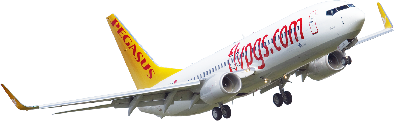 Эйрлайнс pegasus. Авиакомпания Pegasus Airlines. Pegasus Airlines самолеты. Пегасус Эйрлайнс самолеты. Boeing 737 Pegasus Airlines.