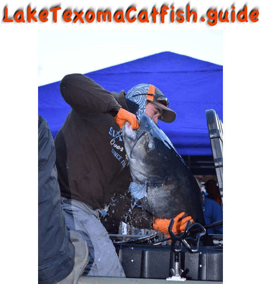 Catching Blue Catfish, Lake Texoma Catfish Guides - Jigging Clipart (575x575), Png Download
