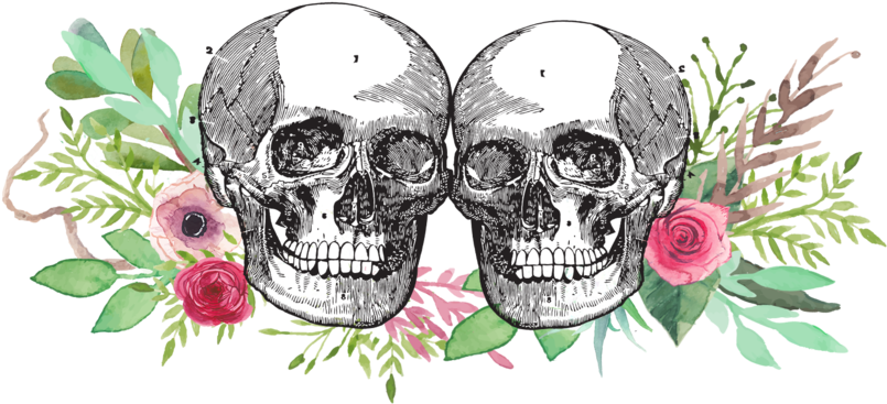 Skull Logo Png Clipart (1000x563), Png Download