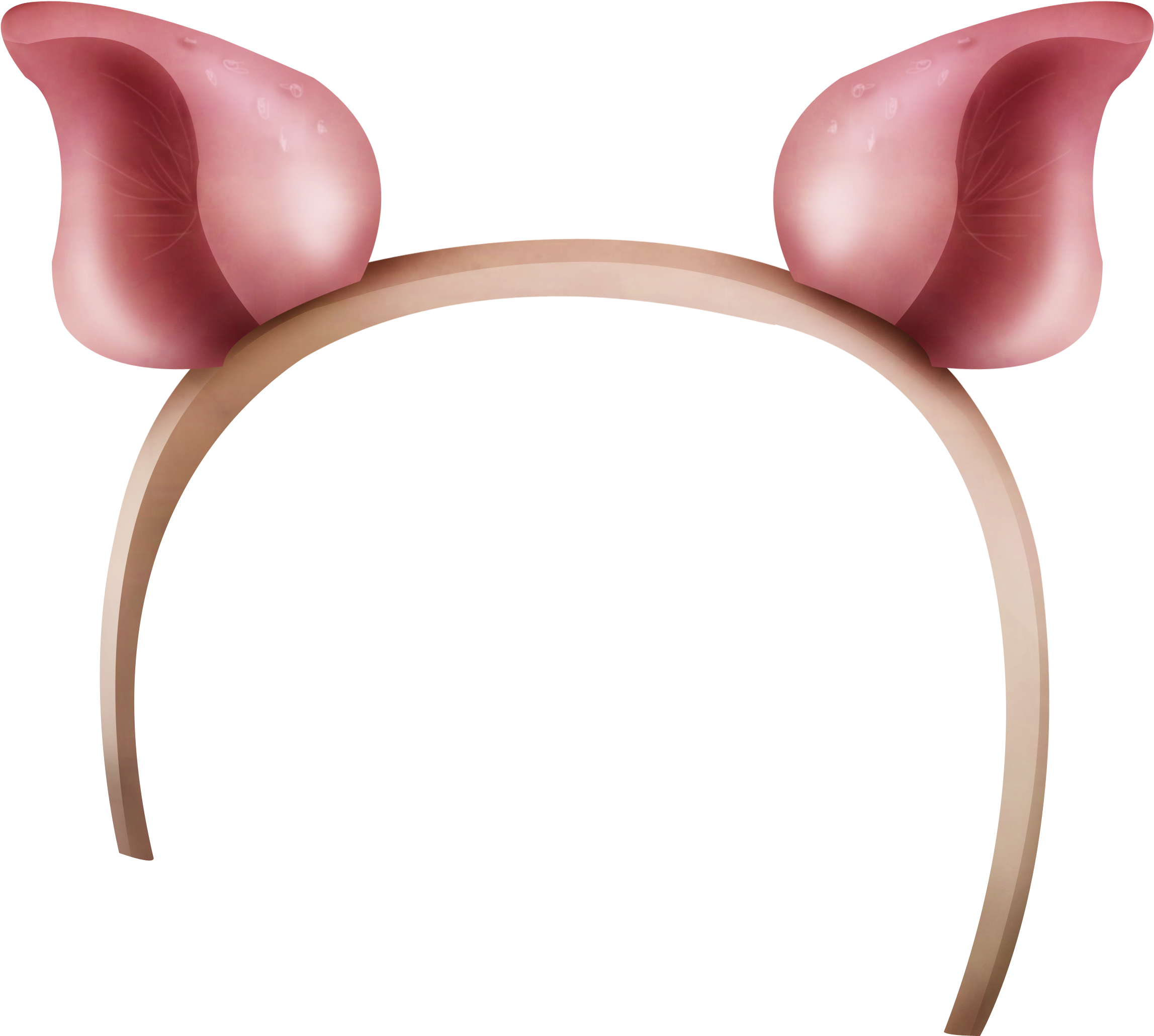European Rabbit, Rabbit, Ear, Pink Png Image With Transparent - Hasenohren Png Clipart (3168x2856), Png Download