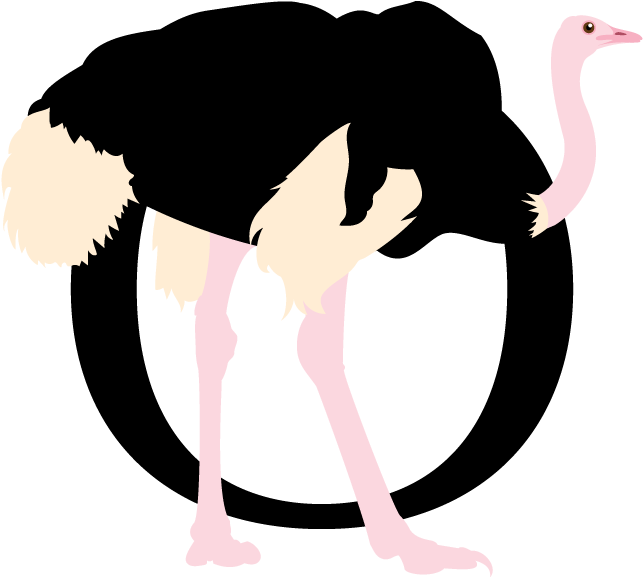 Ostrich Clipart Г±andu - Illustration - Png Download (960x960), Png Download