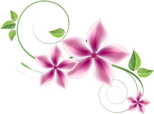 Download Florals Png Clipart Png Download - PikPng