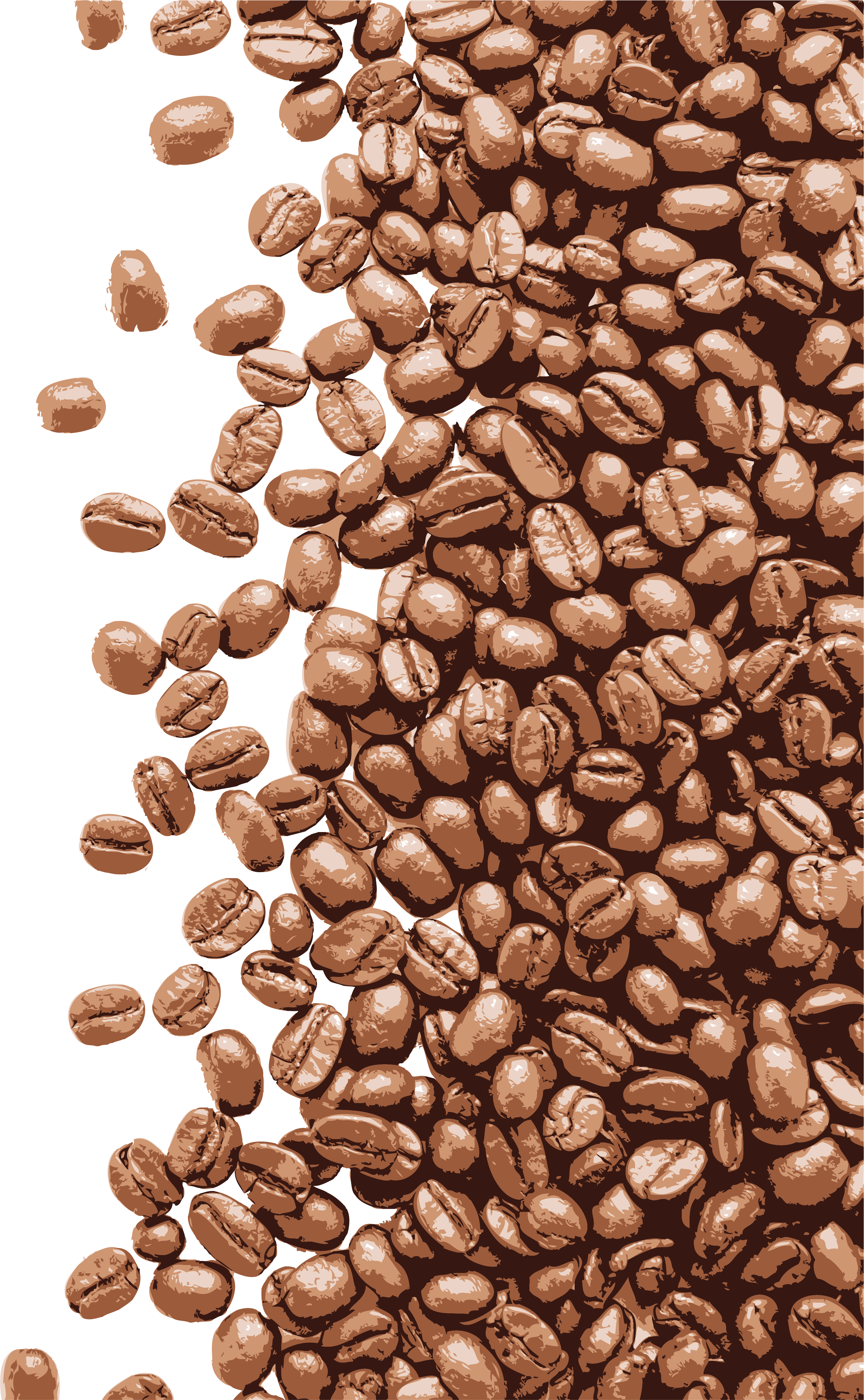 Download Beans Vector Espresso Bean - Coffee Beans Photoshop