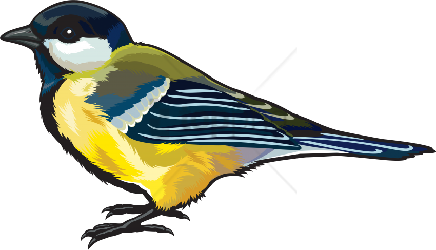 Free Png Hdbirds Png Image With Transparent Background - Portable Network Graphics Clipart (850x487), Png Download