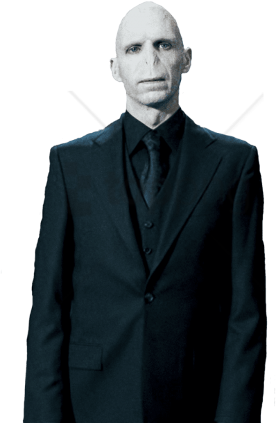 Free Png Voldemort Png Png Image With Transparent Background - Voldemort Transparent Clipart (480x651), Png Download