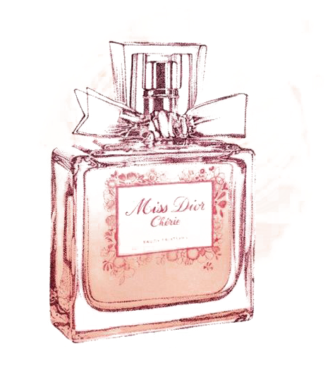 No Perfume Miss Dior Miss Dior Perfume Drawing Clipart Large Size Png Image Pikpng