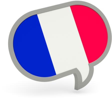 Download French Flag Speech Bubble Clipart Png Download - PikPng