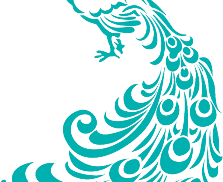 Download Peacock Clipart Black And White Png Transparent Png Png ...