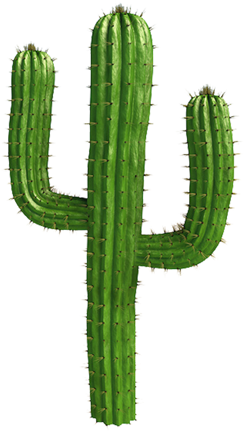 Download Saguaro Cactus Vector Cactus Png Clipart Png Download Pikpng 8943