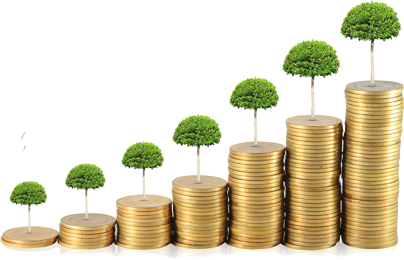 Money Tree - Grow Money Clipart - Large Size Png Image - PikPng