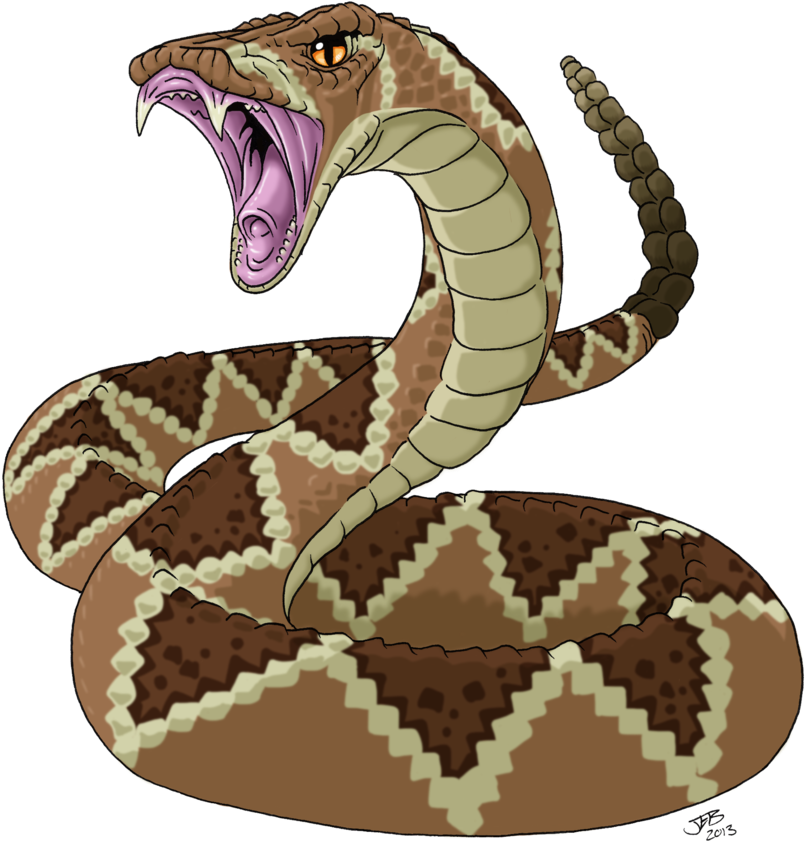 Eastern Diamondback Rattlesnake Drawing Clipart - Large Size Png Image ...