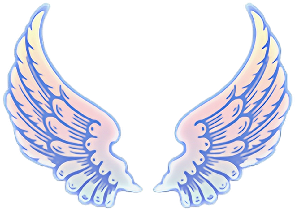 Angel Wings Aesthetic Transparent , Png Download - Angel Wings Clipart ...