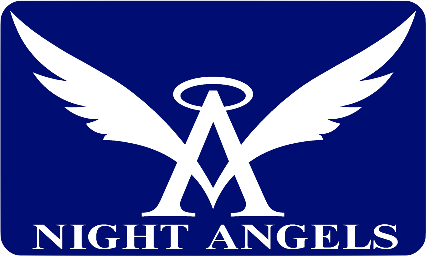 Blue Angels Decals Png - Logo Angels Clipart - Large Size Png Image ...