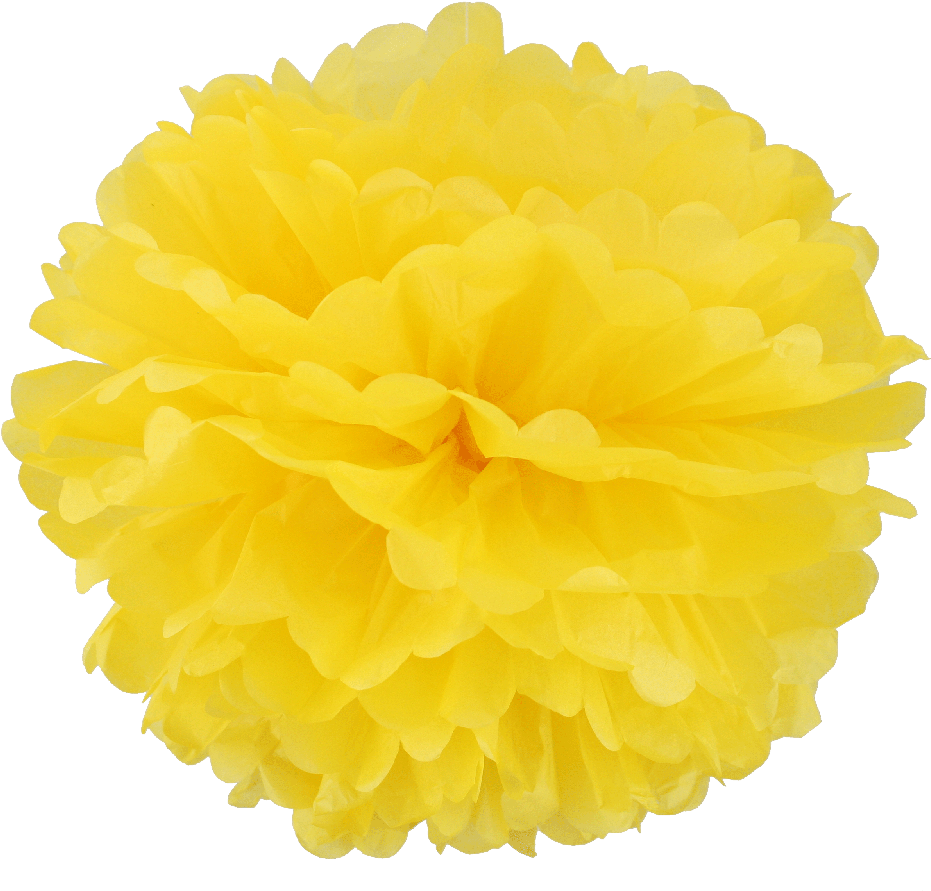 Download Round Tissue Pom Poms Yellow - Pom-pom Clipart Png Download ...