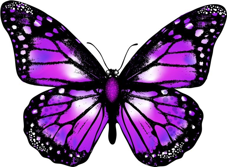 Purple Butterfly Png Transparent Background Butterfly Png Clipart Large Size Png Image Pikpng
