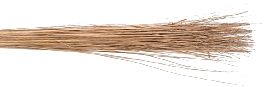 Coconut Broom Transparent Images - Plywood Clipart (850x995), Png Download