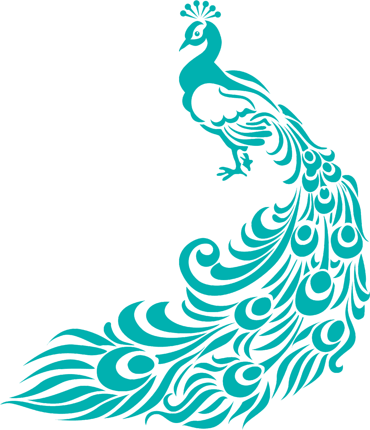 Peacock , sketch vector. animal wildlife illustration. Stock Vector by  ©Ksyshakiss 172456500