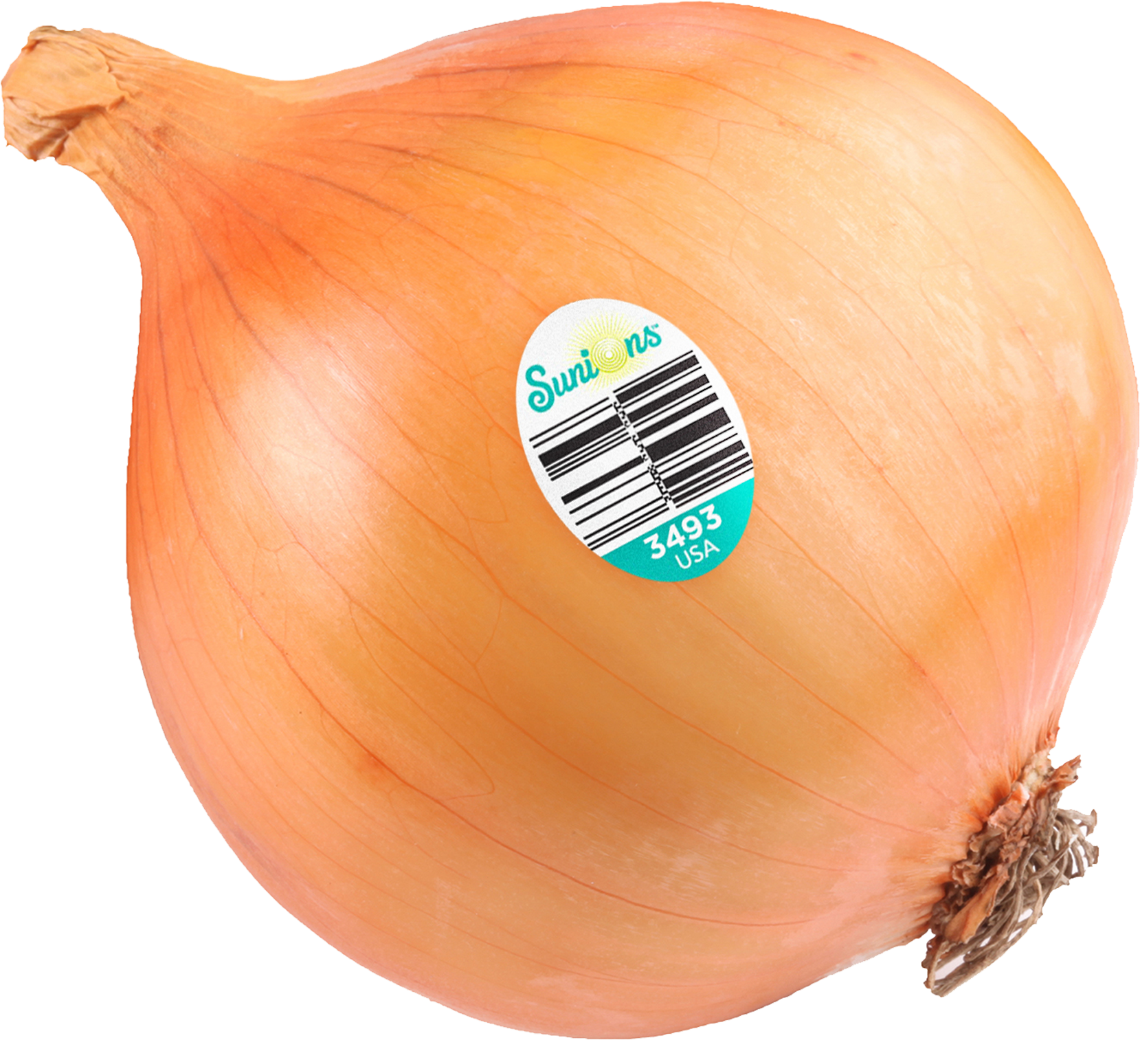 Sunions® - Yellow Onion Clipart (2100x1601), Png Download