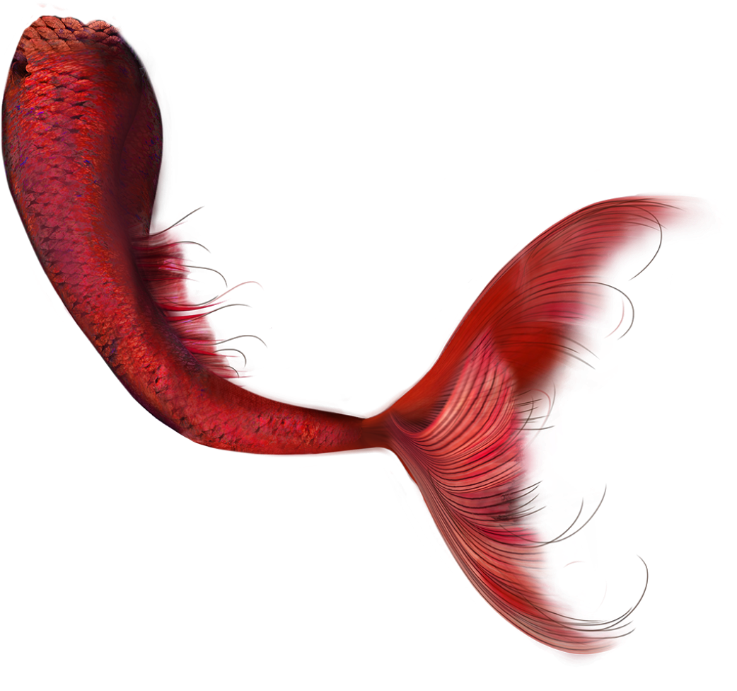 Marmand/fish Hd Clip Art - Red Mermaid Tail Png Transparent Png - Large ...