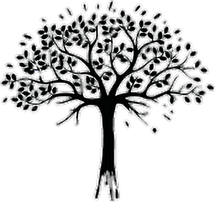 Download Arbol Sticker Family Tree Free Svg Clipart Large Size Png Image Pikpng