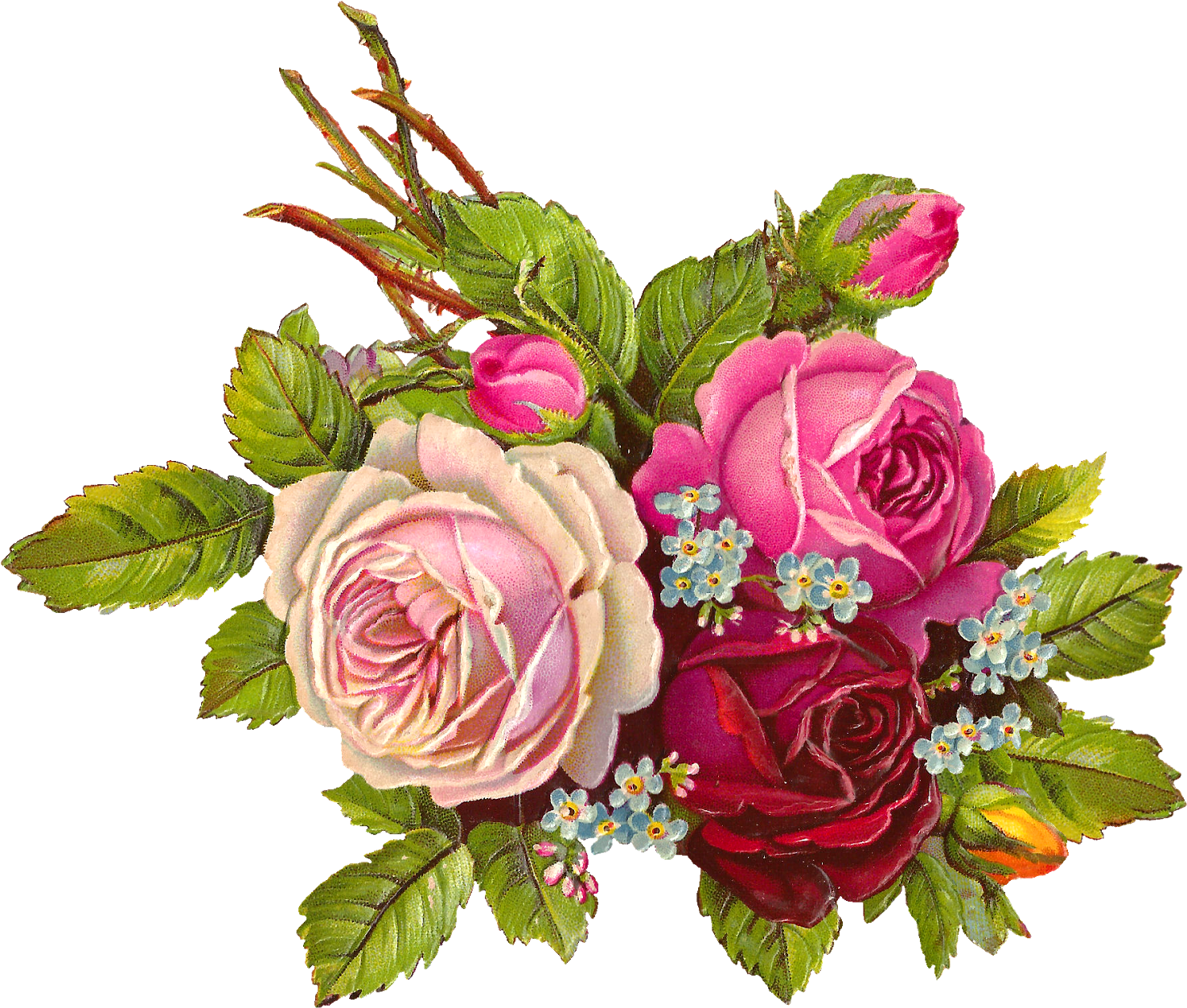 Download Bouquet Vector Vintage Rose - Pink Roses Vintage Png Clipart