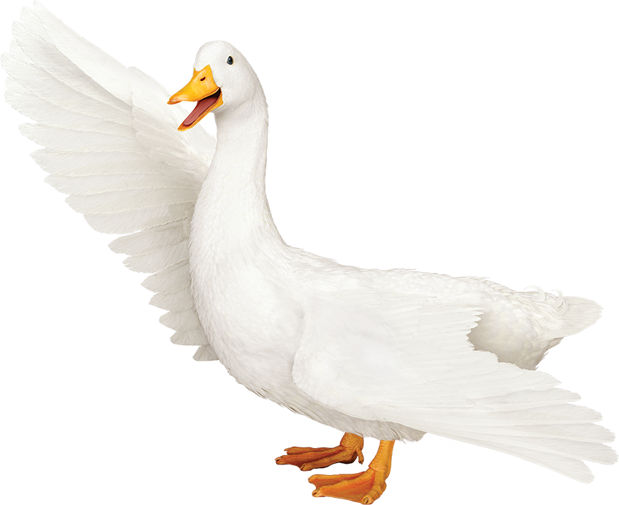 Aflac Logo Png - Transparent Aflac Duck Clipart - Large Size Png Image ...